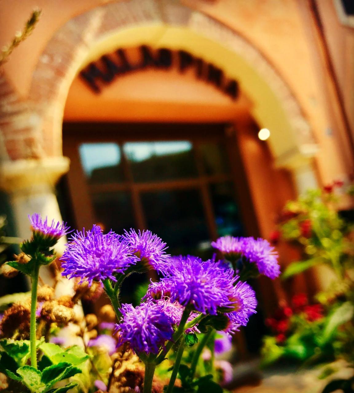 Boutique Hotel Corte Malaspina Castelnuovo del Garda Dış mekan fotoğraf